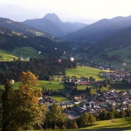 Stallhäusl Hof Kirchberg in Tirol