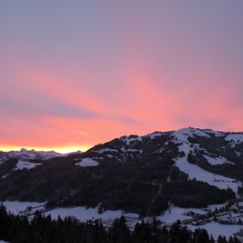 Stallhäusl Hof Kirchberg in Tirol