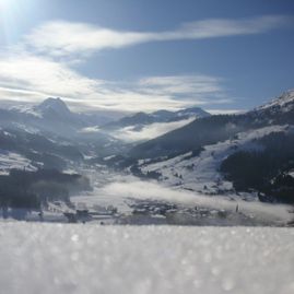 Stallhäusl Hof Kirchberg in Tirol