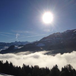 Stallhäusl Hof Kirchberg in Tirol