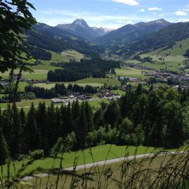 Stallhäusl Hof Kirchberg in Tirol